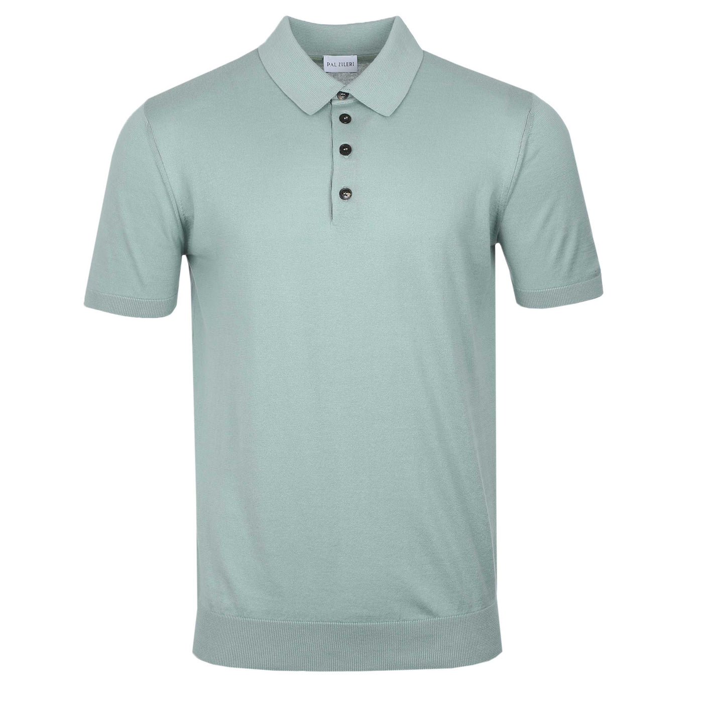 Pal Zileri Basic Knitted Polo Shirt in Mint